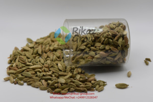 Couleur verte de cardamome biologique de la meilleure qualité, provenant directement de la marque SD Rikaz, durée de conservation de 1 à 2 ans pour l'agriculture, vente en gros - Product Image 5