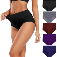 Ropa Interior Femenina de Alta Elasticidad, Tejido Sin Costuras, Cómoda, Venta al Por Mayor, Logotipo Personalizado, Servicio OEM, Antibacteriana para Adultos