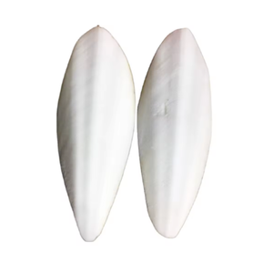 ปลาหมึกธรรมชาติสำหรับนกแก้วนกและสัตว์เลื้อยคลานแหล่งแคลเซียม - Product Image 2