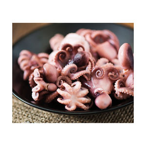 Suministro a granel de pulpo bebé congelado entero, preparado para canales de distribución de entrega rápida - Product Image 4