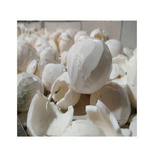 Carne de coco joven congelada Premium de Vietnam de alta calidad para postres de batidos y fabricación de alimentos a granel - Product Image 1