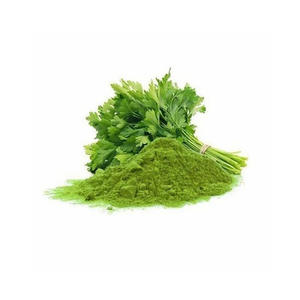 Alcaravea de hoja seca en aerosol orgánico Premium (Carum Carvi) Cilantro Polvo 100% Sabor de aditivo alimenticio natural - Product Image 3