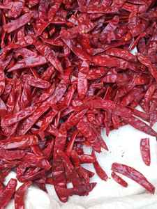 Chile rojo picante Teja de primera calidad sin tallo de India - Product Image 5