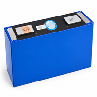 Sel Baterai LiFePO4 3.2V 587Ah Grade A Prismatic LFP dari Gudang EU untuk Penyimpanan Energi Surya (ESS) dan Industri