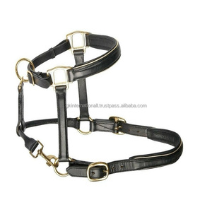 Top qualité fait à la main en cuir noir ou marron cheval licou de luxe double couture doux rembourré cheval course licou à bas prix - Product Image 1