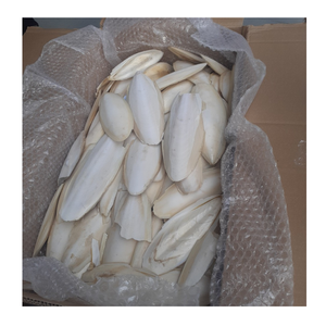 100% ธรรมชาติก้างปลาแบบแห้ง - Product Image 6