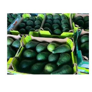 Aguacate orgánico Hass de alta calidad, suministro a granel fresco, precio barato, variedad de cultivo Hass - Product Image 1