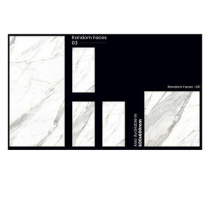 Azulejos de porcelana de pared y suelo Satuario Mexy a precio asequible de fabricante indio - Product Image 6