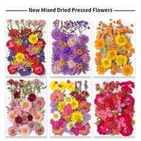 Espécimen de flores naturales mixtas personalizadas para decoración de resina DIY flores prensadas secas reales hechas a mano