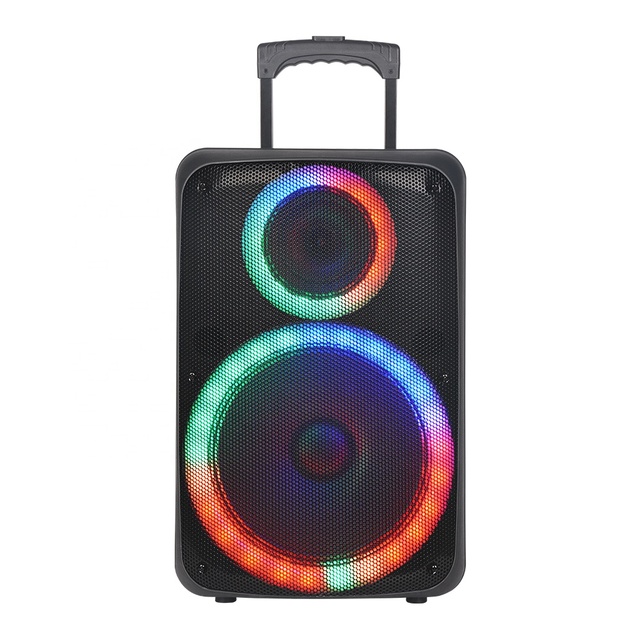 NDR-2612 12-inch High Quality Subwoofer Outdoor Dj Speaker Wireless Karaoke Portable Speaker With Remote Control Microphone