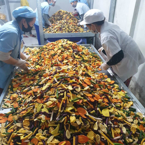 COLLATIONS DE FRUITS ET DE LÉGUMES SÉCHÉS DE HAUTE QUALITÉ CHIPS DE LÉGUMES CROUSTILLANTES - Product Image 3