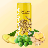 Kombucha Hoogwaardige Fruitgearomatiseerde Bronnen Van Natuurlijke Niet-Alcoholische Op Maat Gemaakte Verpakkingen Gemaakt In Vietnam Fabrikant