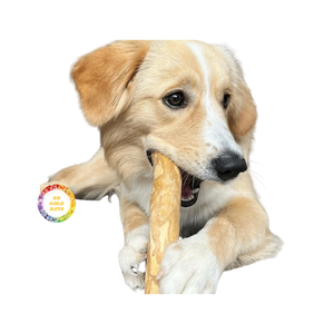 Café en bois chien mâcher café écologique bâton en bois pour chiens OEM Logo personnalisé jouet à mâcher pour animaux de compagnie du fournisseur du Vietnam - Product Image 3