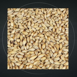 Vente en gros en vrac Brasseurs Grains Séchés Frais Brasseurs Grains Premium pour Bétail Poulet Vache et Animaux Fermes - Product Image 5