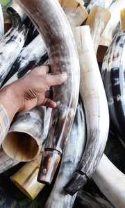 Bocina sopladora de búfalo de color blanco natural, ideal para tiendas vikingas, adecuado para reventa, también disponible con grabado - Product Image 6