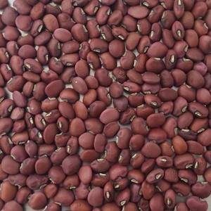 Best Quality White Cowpeas <b>Vigna</b> <b>Beans</b> For Sale - Product Image 6