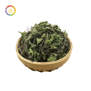 Centella Asiatica séchée de haute qualité pour l'achat en gros-abordable et fiable pour l'approvisionnement en gros - Product Image 1