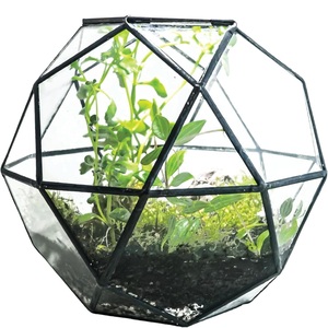High Quality Black <b>Geometric</b> Glass <b>Terrarium</b> Planter Modern Indoor Metal Frame Home Decor Flower for Wedding Wholesale - Product Image 2