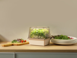 Kit <span class=keywords><strong>de</strong></span> Microvegetales con Lámpara LED Ajustable <span class=keywords><strong>de</strong></span> 8W, Caja <span class=keywords><strong>de</strong></span> Germinación con Autorriego, DC5V, para Cultivo en Interiores, con Certificación CE y RoHS - Product Image 4