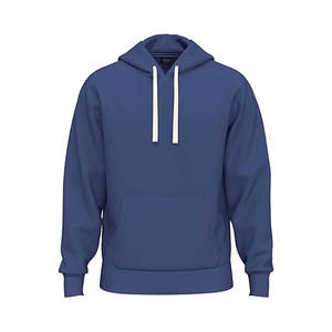 La mejor calidad para la venta de invierno Sudadera con capucha de lana de algodón suave Estampado Liso Peso pesado 480GSM Sudaderas con capucha Etiqueta privada Sudaderas con capucha de manga larga - Product Image 1