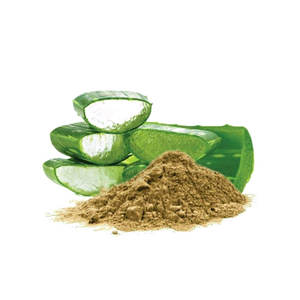 ผงสกัดจากใบว่านหางจระเข้สำหรับการย่อยอาหารและดีท็อกซ์เพื่อสุขภาพผิวเหมาะสำหรับสมูทตี้น้ำผลไม้และการใช้เพื่อสุขภาพประจำวัน - Product Image 4