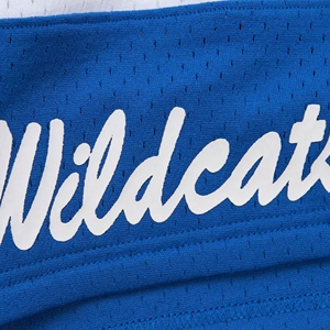 Personalizado Kentucky University KSU Wildcats Pantalones cortos de baloncesto Patrón sólido Rendimiento Atlético Premium Logotipo frontal lavado - Product Image 4