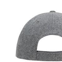 Gorra de Béisbol Unisex Gris de 6 Paneles, 100% Algodón Jersey, Ajustable, Informal, para Adultos, Color Sólido, para las Cuatro Estaciones