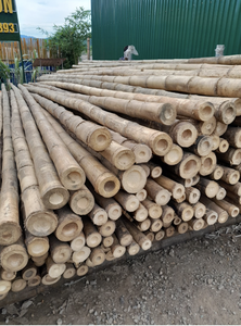 Disponible ahora: postes de bambú de medio tubo de Vietnam - Product Image 2