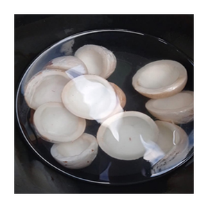 เนื้อมะพร้าวมะพร้าวขูดฝอยคุณภาพดีจากเวียดนาม - Product Image 1