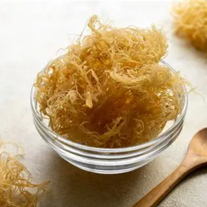 GROS MOSS DE MER EXPORTATION EN VRAC MEILLEUR PRIX - Product Image 1