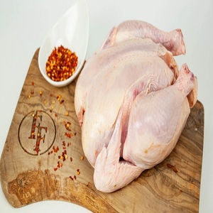 Viande transformée congelée poulet entier halal de qualité supérieure fournisseur le plus vendu livraison rapide prix de gros - Product Image 2