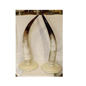 Paire de corne de buffle de haute qualité, support carré en bois pour la vaisselle, décoration de la paire de corne de buffle, meilleure vente - Product Image 2