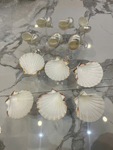 Handmade Snail Shell <b>Wine</b> Glass <b>Goblet</b> Natural Seashell Decorative Cup For Wedding Party Bar Coastal Resort Style - Product Image 5