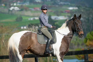 Set de coussinets de selle de dressage Matchy Matériau écologique Coque en coton Taille et couleur personnalisables Sublimation Equine Numnah 2025 - Product Image 3