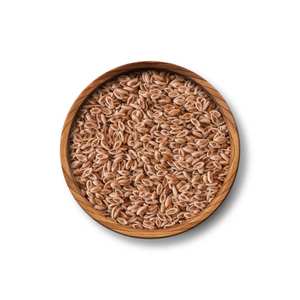 Calidad superior 100% Pure Isabgol Seeds Psyllium Seed Wild Food Bolsa de embalaje suelta Precio al por mayor - Product Image 1