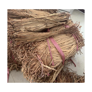 VENDO JACINTO DE AGUA SECA A PRECIOS ASEQUIBLES ORIGINARIO DE VIETNAM EN 2024/Sra. Thi - Product Image 1