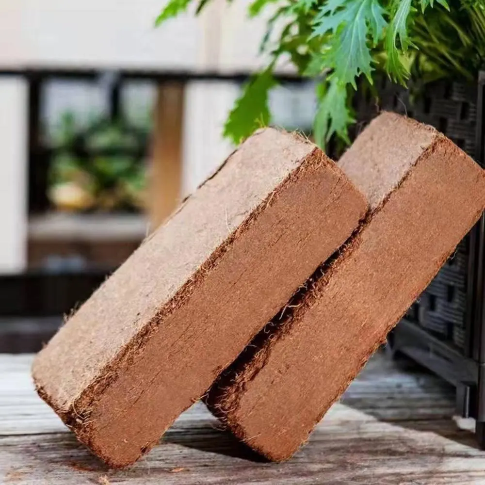 Block Coconut Coir Peat Cocopeat dalla buccia di cocco in vendita