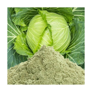 Polvo de Repollo Deshidratado de Excelente Calidad para Cocina e Industria Alimentaria - Product Image 2