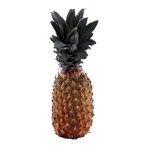 Ananas frais en conserve en gros à vendre / Tranches d'ananas en conserve Ananas frais de qualité - Product Image 6