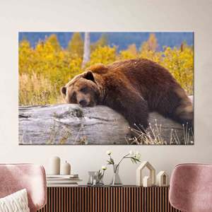 Printed Canvas: Brown Bear Resting on a <b>Log</b> Wall Art,1P:Gallery Wrapped - Product Image 1