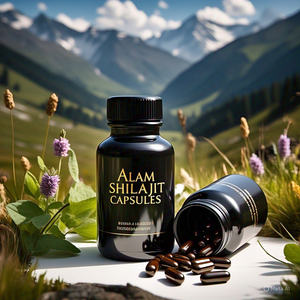 แคปซูลผงฮิมาลายันชิลาจิทใส่100% 60ชิ้นบรรจุภัณฑ์คู่อาหารเสริมกรดฟูลวิคจากธรรมชาติบริสุทธิ์ - Product Image 4