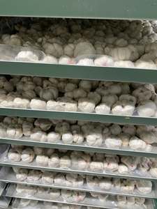 Chips de mangoustan lyophilisées, sucrées et croquantes, pour collation ou dessert, étiquette personnalisée, 50g 100g, sachet refermable, mangoustan sec du Vietnam - Product Image 6