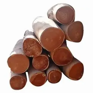 Vente en gros de bûches de bois toute l'année pour meubles en bois dur pin chêne teck bois d'épicéa - Product Image 6