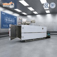 Machine de lyophilisation des légumes de qualité alimentaire entièrement automatique pour légumes, ail, gingembre et oignon