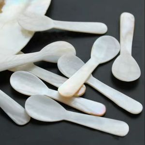 Cuchara duradera de nácar, venta al por mayor, hecha a mano, ligera, respetuosa con el medio ambiente, cuchara para servir caviar sostenible de Vietnam - Product Image 1