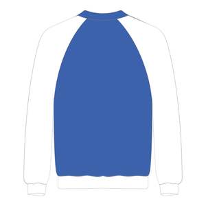 Sudadera con Mangas Raglán de la Hermandad Femenina Azul Zeta Phi Beta, Bordado Chenille, Moda Universitaria Griega, Divine Nine - Product Image 3