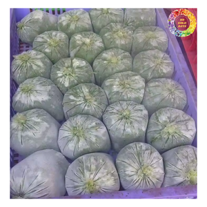 Proveedores de hojas de mandioca congeladas, gran oferta tierra congelada, picada, hojas de mandioca trituradas para exportación, hoja de mandioca triturada IQF/ - Product Image 5