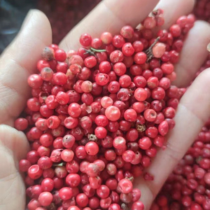 VANILLE HARVEST Grains de poivre rose de Madagascar (Baies Roses) Qualité supérieure Récolte sauvage Emballage sous vide 99% de pureté Baies séchées 24 - Product Image 1