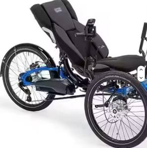 Vendeur de tricycles électriques à pédales à pneus larges et à dossier inclinable, promo vérifiée - Product Image 2