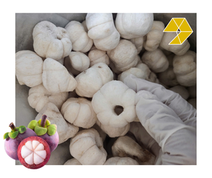 Freeze-<b>dried</b> Mangosteen Crispy Sweet <b>Fruit</b> Snack Vietnam Custom Label Retail Packaging 50g 100g Dry Mangosteen Factory Price - Product Image 1